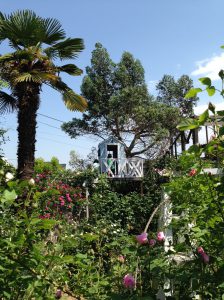 住まいメイトの中野です